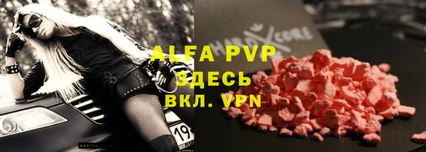 индика Осинники
