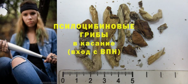 эйфоретик Няндома