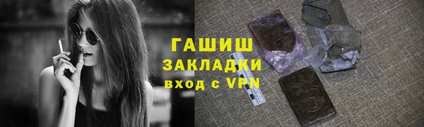 эйфоретик Няндома