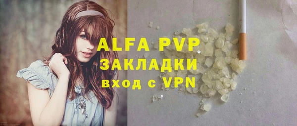 индика Осинники