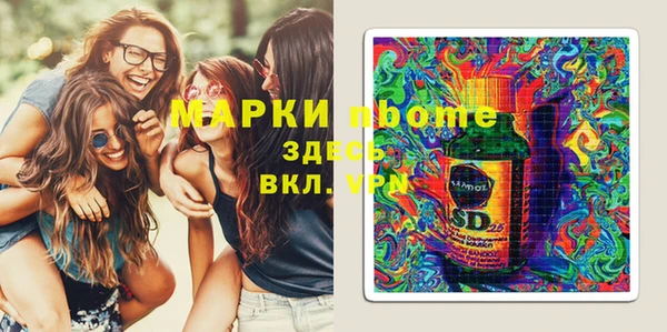 эйфоретик Няндома