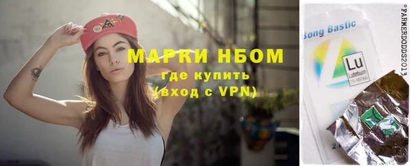 индика Осинники