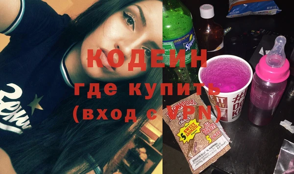 эйфоретик Няндома