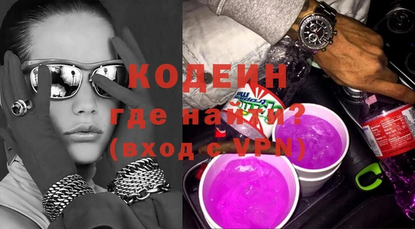 эйфоретик Няндома