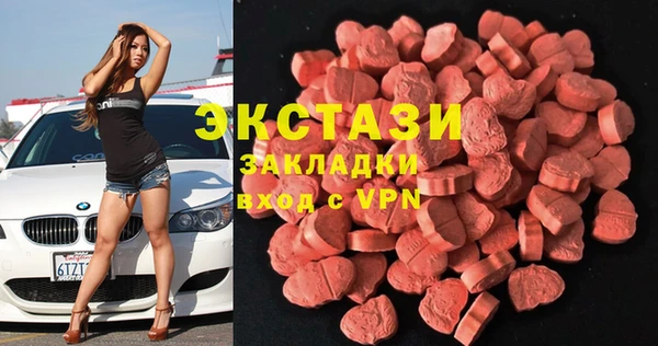 индика Осинники