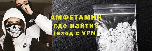 индика Осинники