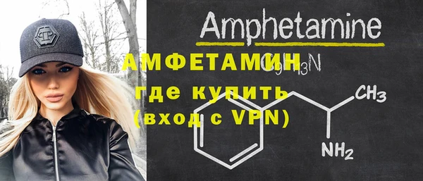 молекула духа Осташков