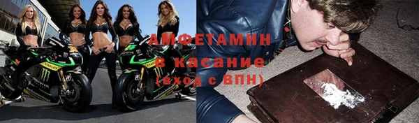 эйфоретик Няндома
