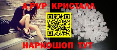 меф Кингисепп