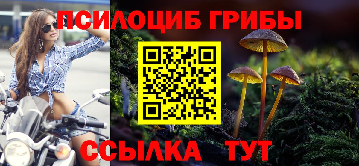 Псилоцибиновые грибы мицелий Назрань