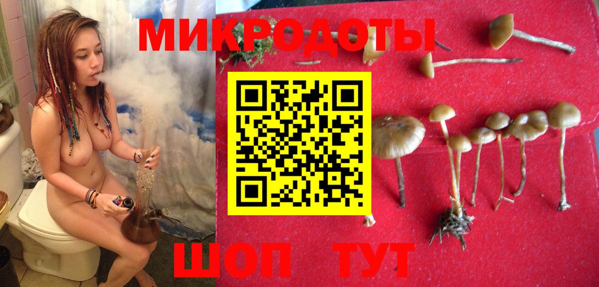 Назрань  Псилоцибиновые грибы Psilocybe  Вход с VPN 