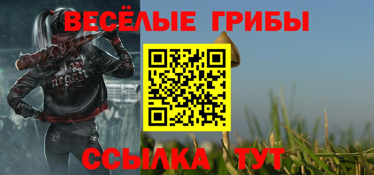 Псилоцибиновые грибы MAGIC MUSHROOMS  Назрань 